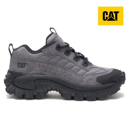 CAT Intruder Men's Sneakers Grey (AU Q-321) Australia